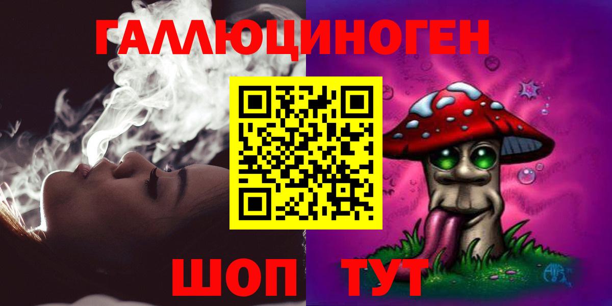 Псилоцибиновые грибы Cubensis Осинники