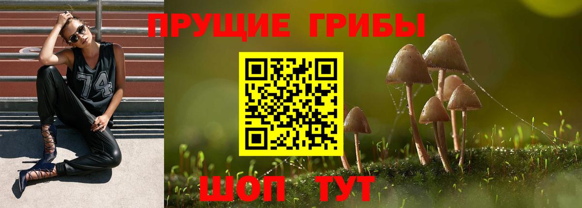 Меф кристаллы  Cocaine  Лсд 25  Экстази  ГАШИШ  Осинники  Конопля  Вход с VPN 
